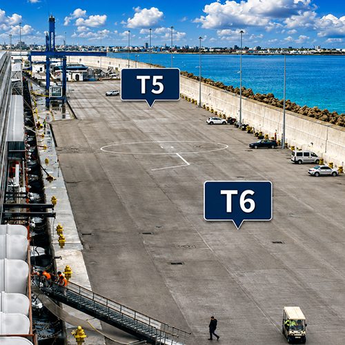t4 up